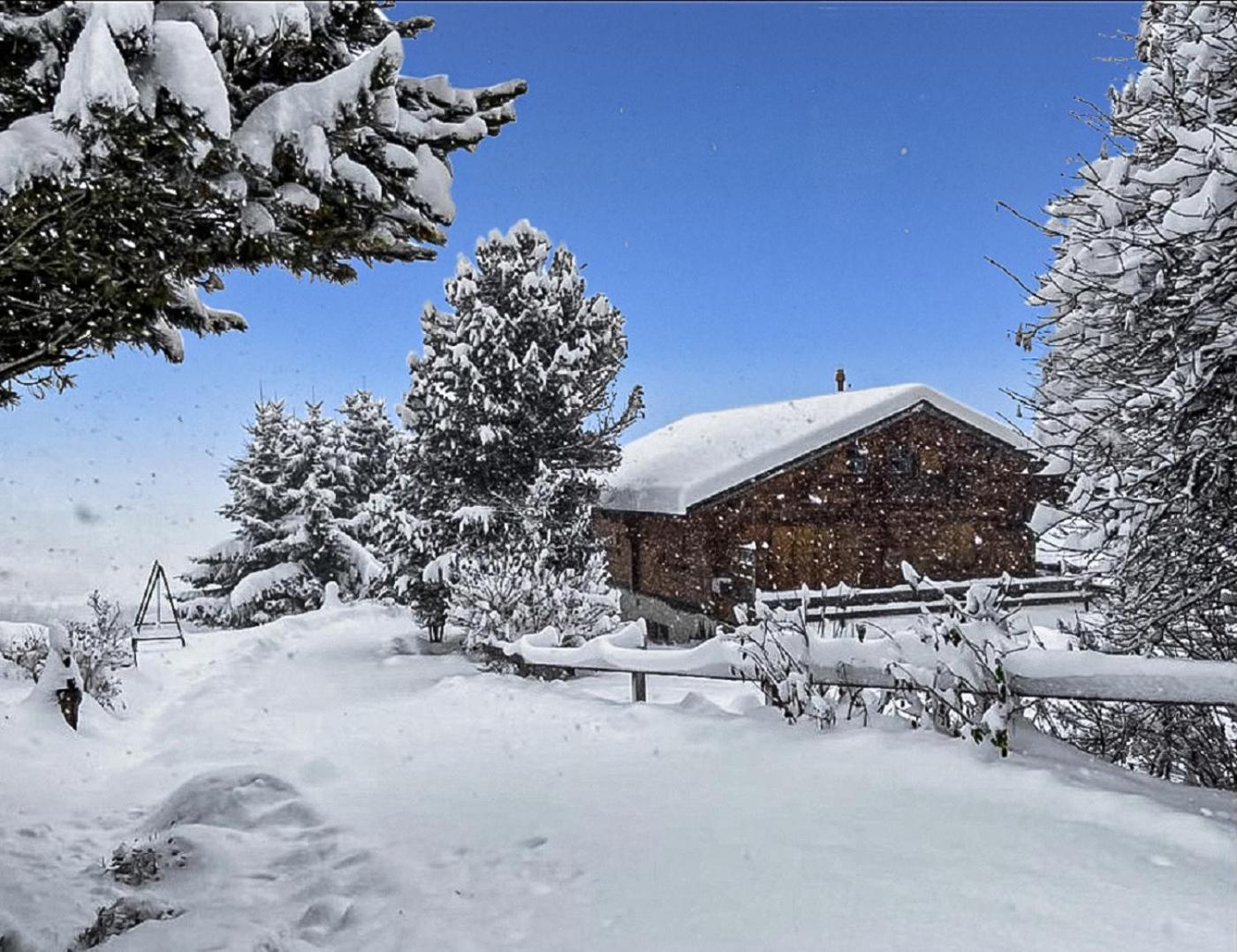 Albarose - Chalet *